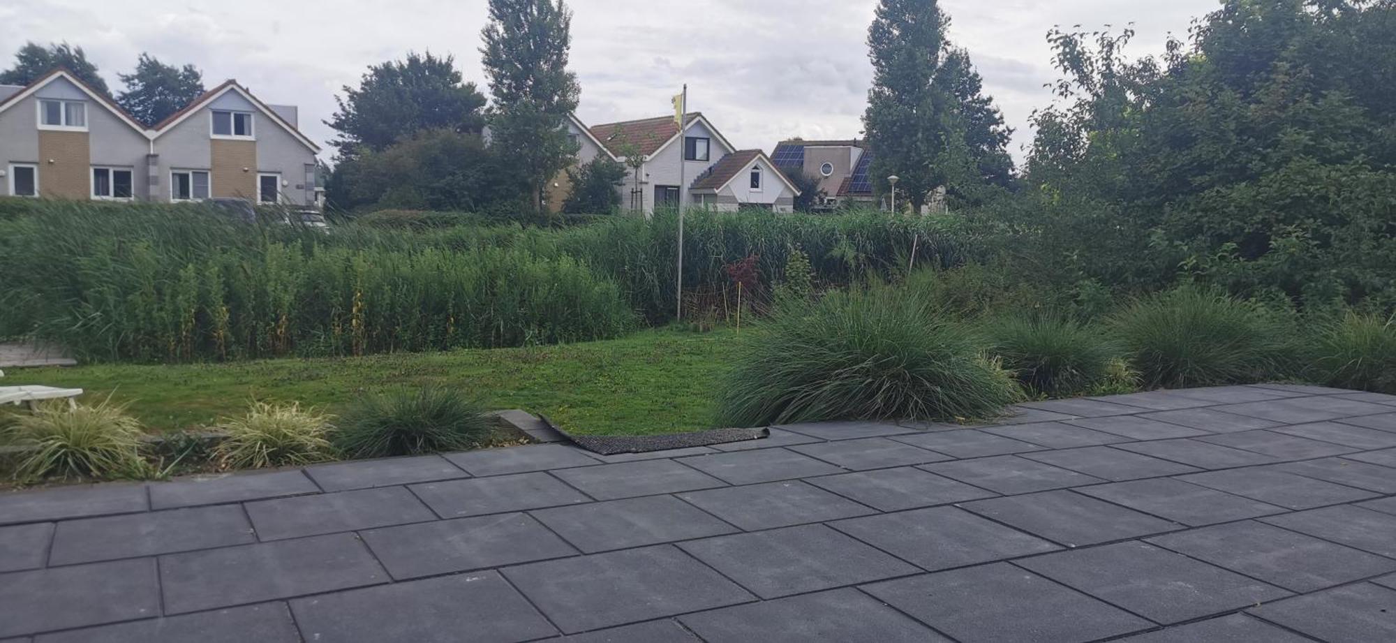 Prachtige Vakantievilla Aan Ijsselmeer Makkum Buitenkant foto
