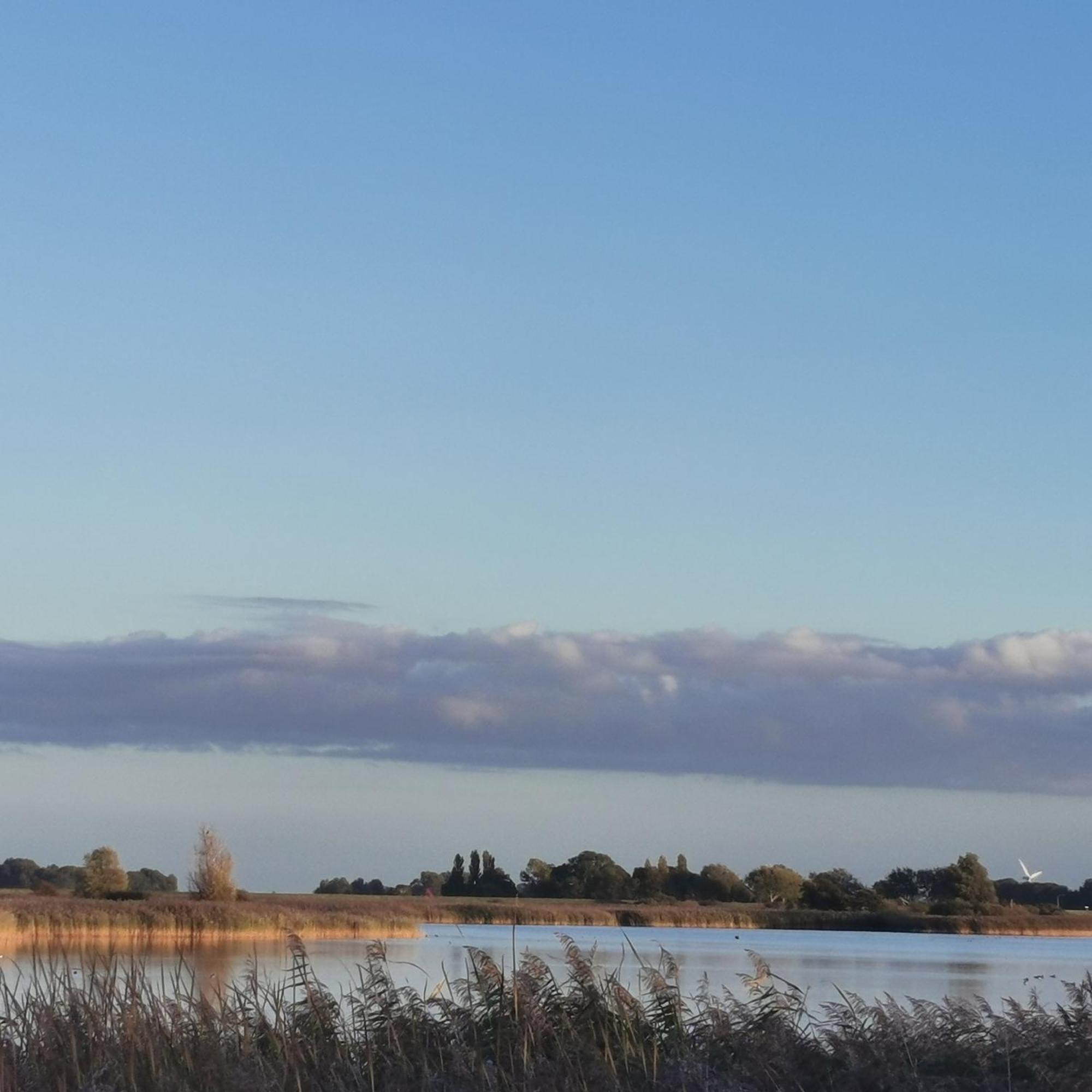 Prachtige Vakantievilla Aan Ijsselmeer Makkum Buitenkant foto