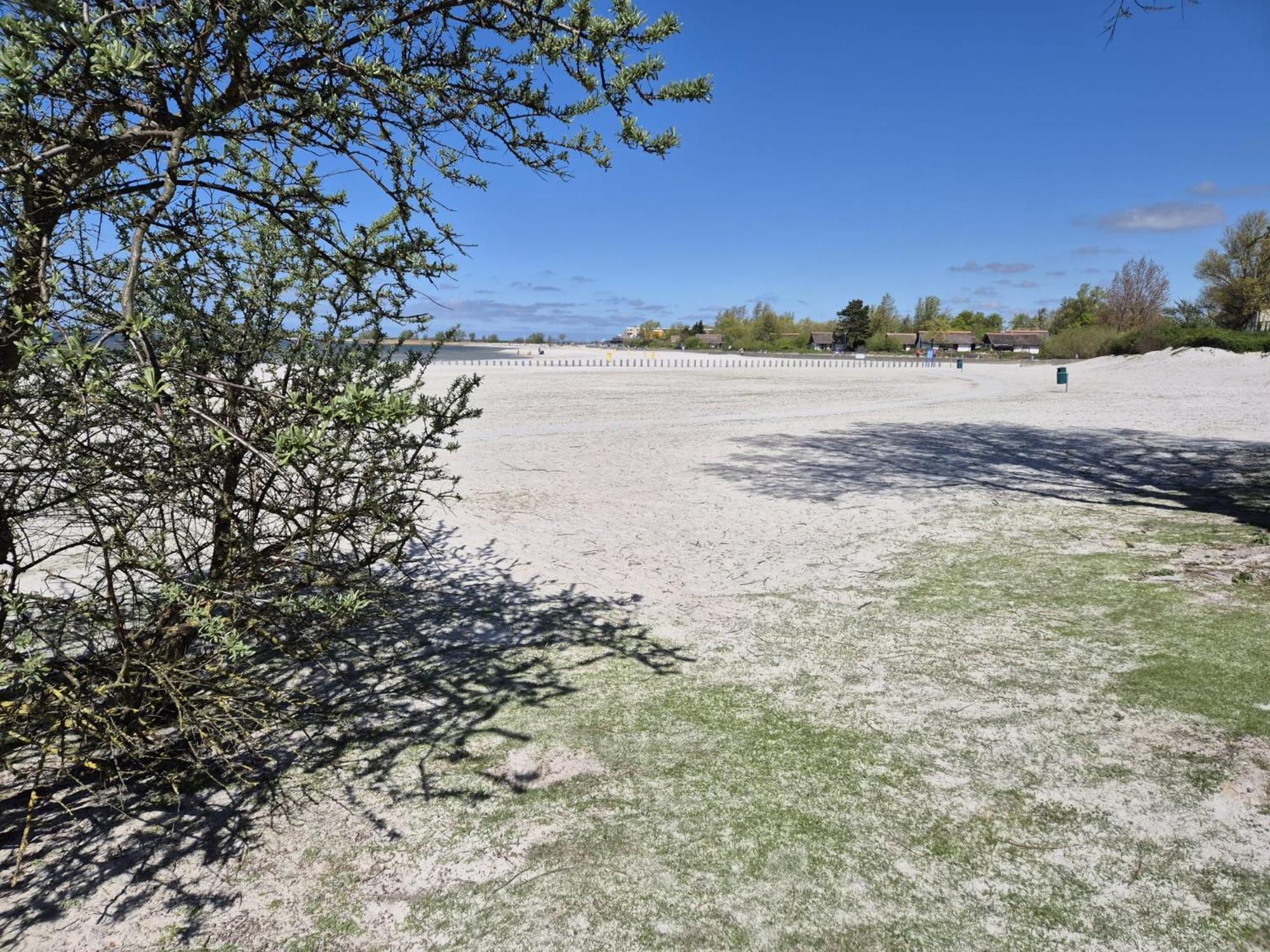 Prachtige Vakantievilla Aan Ijsselmeer Makkum Buitenkant foto